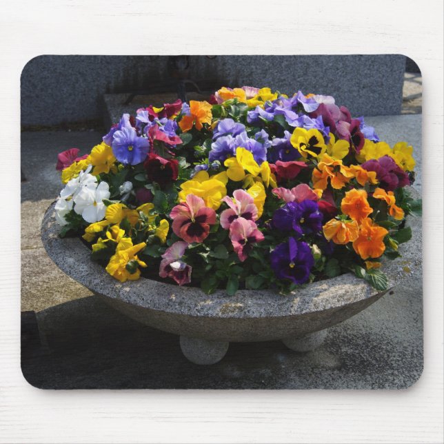 Viola wittrockiana mouse pad (Front)