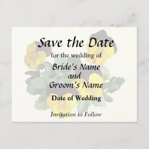Violas Sorbet Yellow Jump Up Announcement Postcard