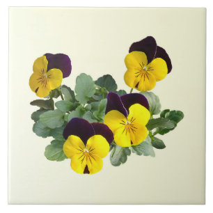 Violas Sorbet Yellow Jump Up Ceramic Tile