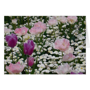 Violet Among The Pale Pink
