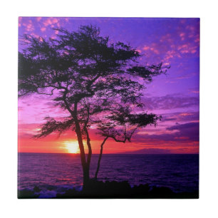 Violet and Pink Sunset Tree Ceramic Tile