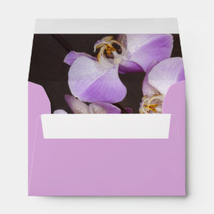 Violet and White Orchid Close Up Photograph Envelope