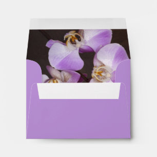 Violet and White Orchid Close Up Photograph Envelopes