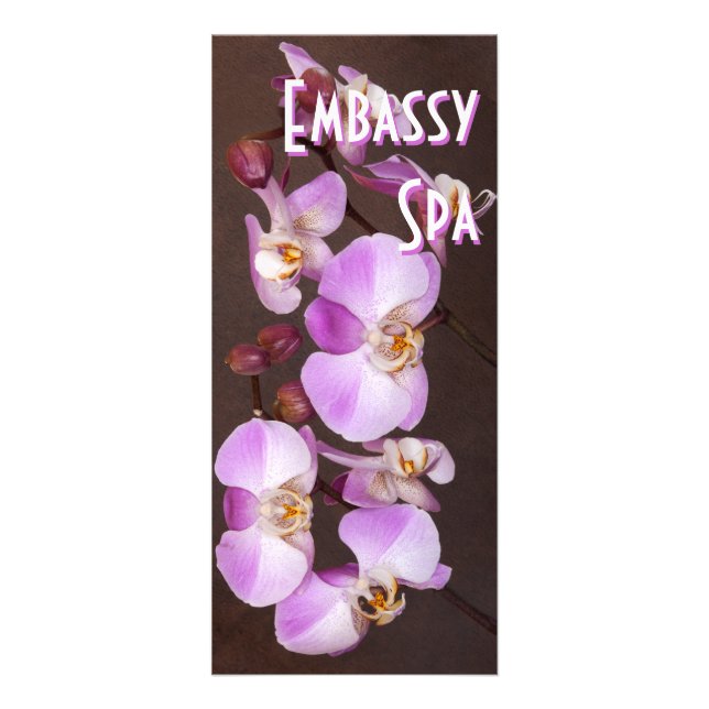 Violet and White Orchid Close Up Photograph Rack Card (Front)