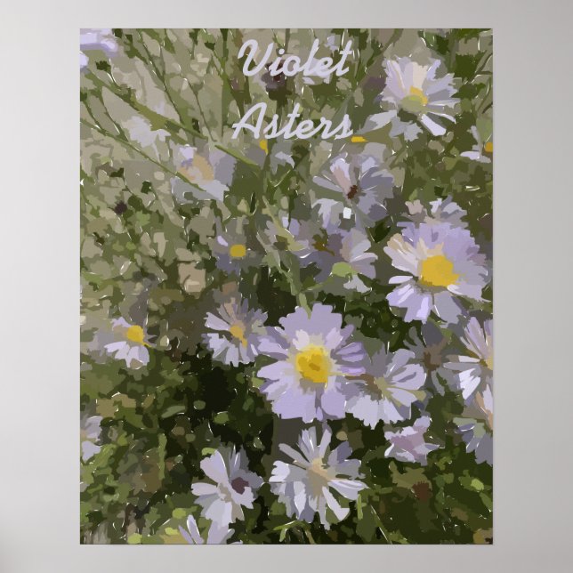 Violet Asters Poster (Front)