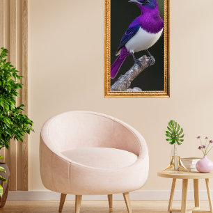 Violet-backed Starling  Poster