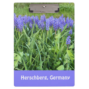 Violet Bluebells Photography - Herschberg, Germany Clipboard
