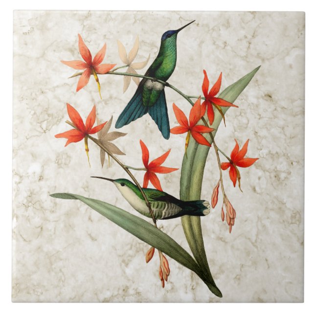 Violet Capped Wood Nymph Hummingbird Ceramic Tile (Front)