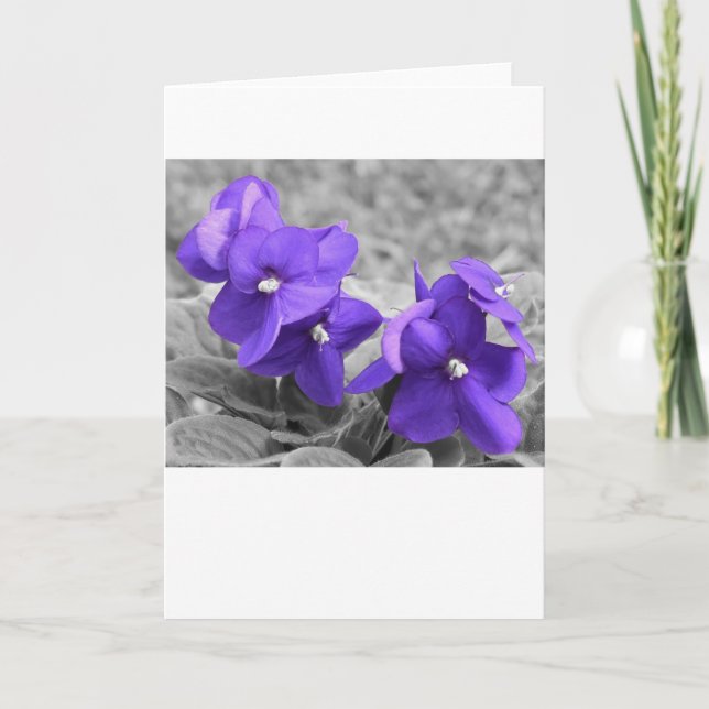 Violet, card (Front)