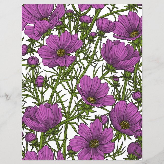 Violet cosmos flowers (Front)