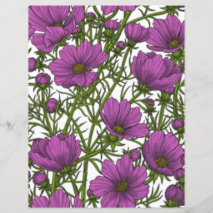 Violet cosmos flowers