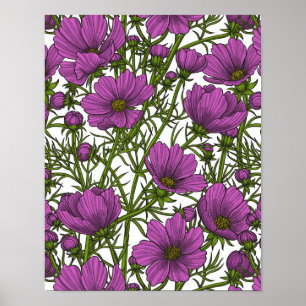 Violet cosmos flowers poster
