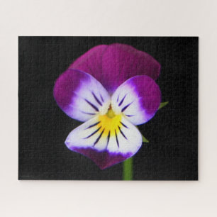 Violet Flower 16x20 520pc jpcnm Jigsaw Puzzle