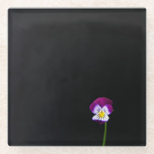 Violet Flower coastercna Glass Coaster