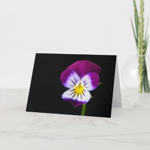 Violet Flower gca Card
