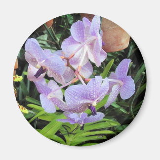 violet flower magnet