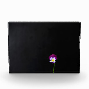 Violet Flower pbcna Photo Block