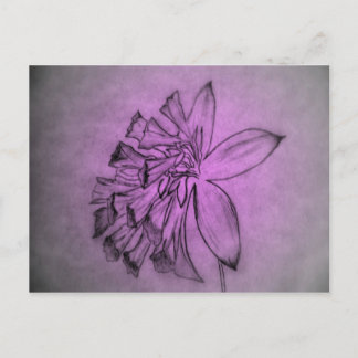 Violet Flower Postcard