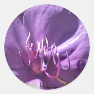 Violet Flower Wedding Envelope Seal