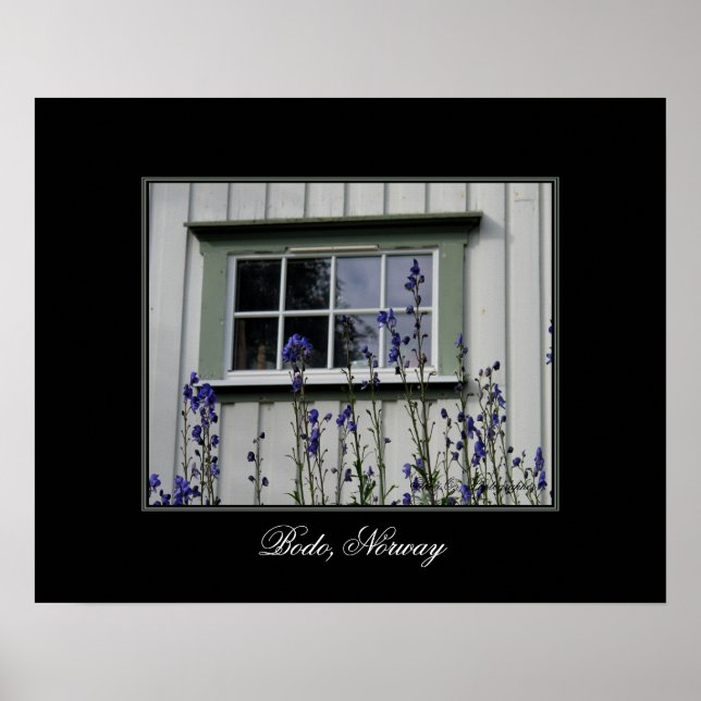 Violet Flowers and a Window Poster (Front)