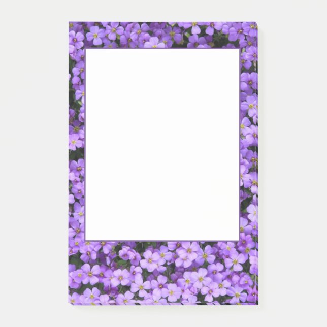 Violet Flowers Framed Post it Notes Violets Flower (Front)