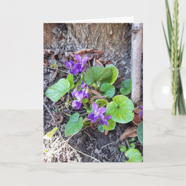 Violet Flowers in Forest Card (Front)