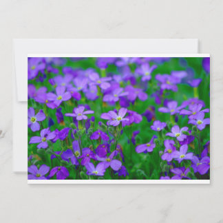 Violet Flowers Invitation