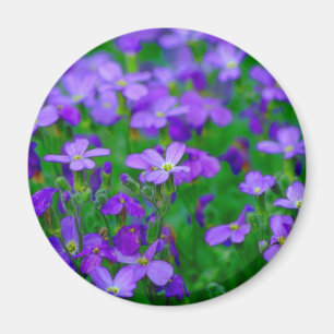 Violet Flowers Magnet