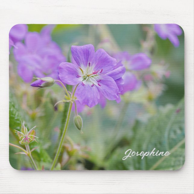 Violet Geranium Wildflower Floral Photo With Name Mouse Pad (Front)