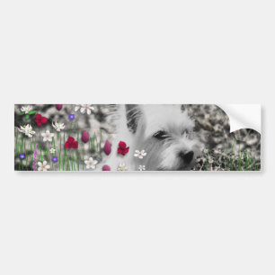 Violet in Flowers – White Westie Dog Bumper Sticker