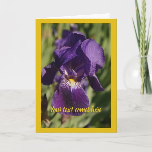 violet iris - card (Front)
