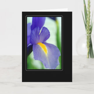 violet iris card