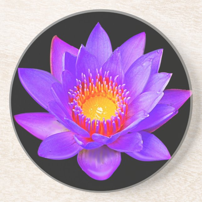 Violet Lotus Flower on Black Coaster (Front)