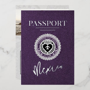 Violet Mexico Passport Wedding