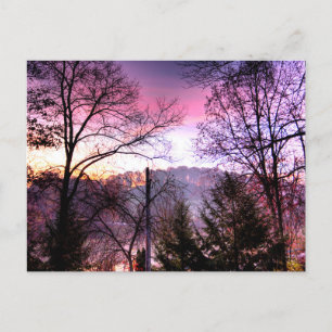 Violet Morning, Baltic, Ohio Postcard