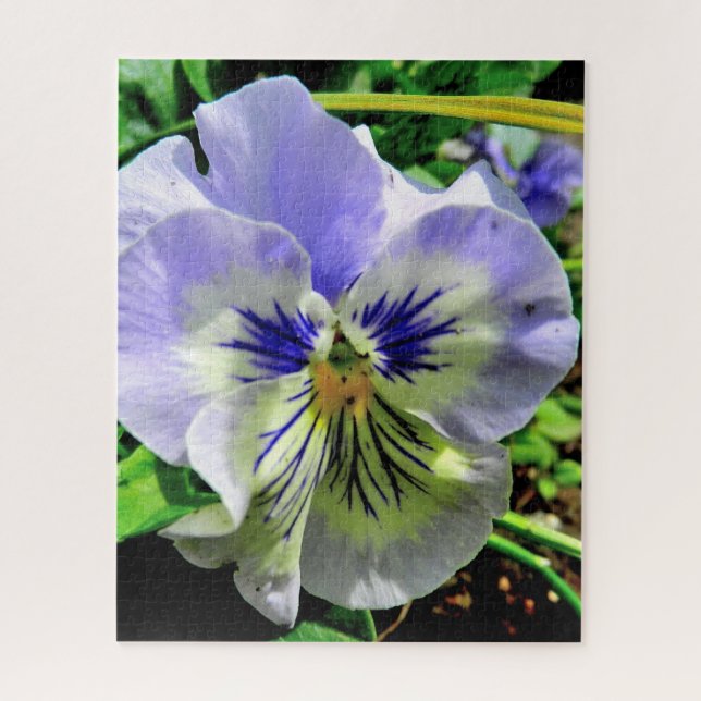VIOLET PANSY   JIGSAW PUZZLE (Vertical)