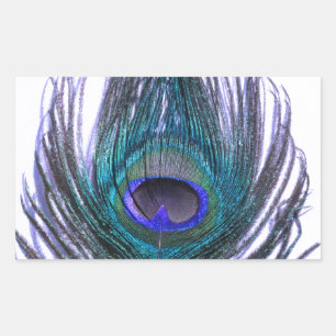 Violet Peacock Feather Rectangular Sticker