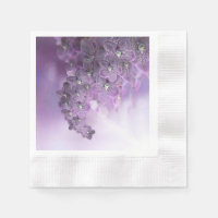 Violet Purple Blooming Flower Orchids