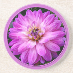 Violet/Purple Dahlia Coaster