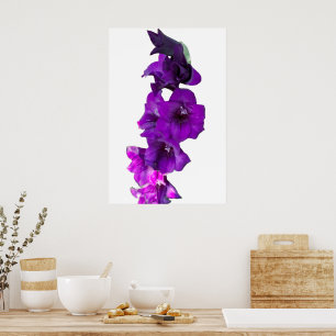 Violet Purple Gladiolus Floral Poster