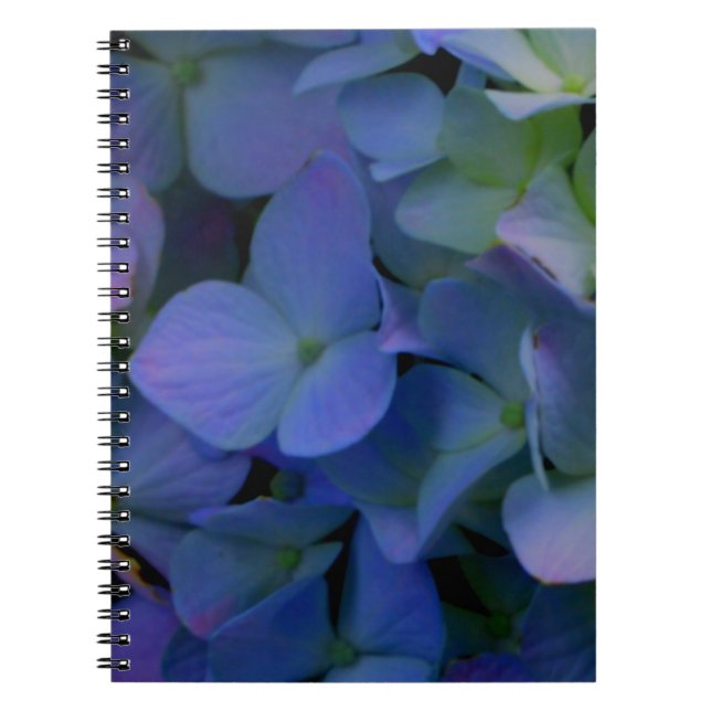 Violet purple hydrangeas notebook (Front)