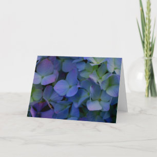 Violet purple pink blue hydrangeas flower floral card