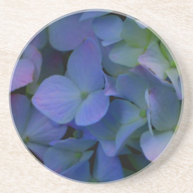 Violet purple pink blue hydrangeas flower floral coaster (Front)