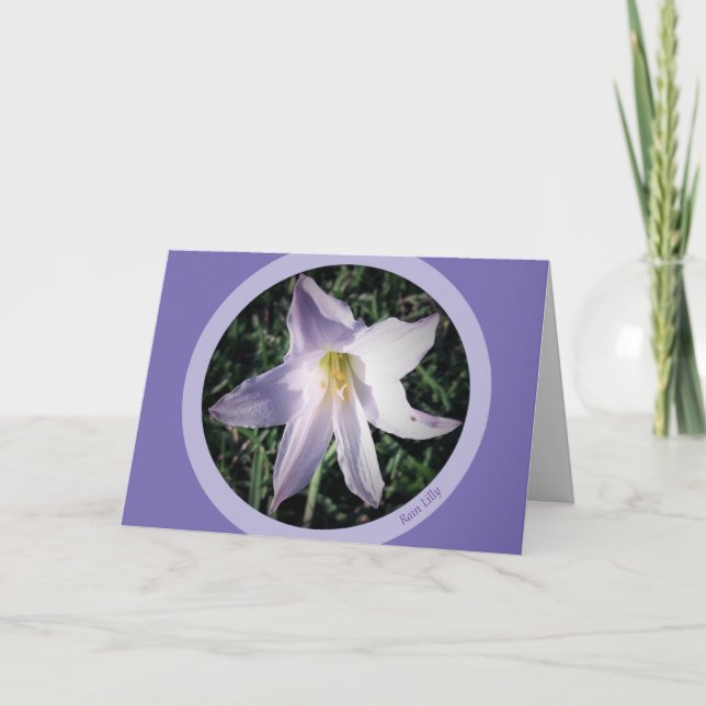 Violet Rain Lilly Encouragement Greeting Card (Front)