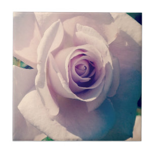 Violet Rose Ceramic Tile