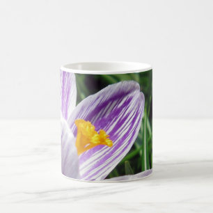 Violet Spring Crocus Coffee Mug