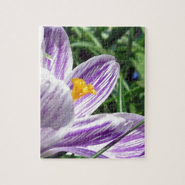 Violet Spring Crocus Jigsaw Puzzle (Vertical)