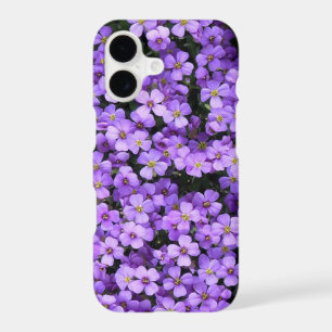 Violet Spring Flowers Violets