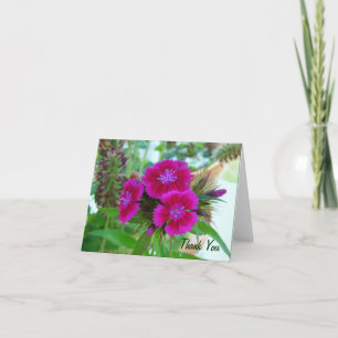 Violet Sweet Williams - Floral Notecard