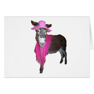 Violet the Donkey Dressed in Pink